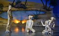 Lionking 0166